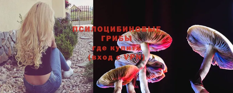 Галлюциногенные грибы Magic Shrooms  купить закладку  Инза 